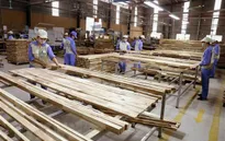 Đột ngột bị áp thuế 25%, gỗ ghép thanh ùn tắc tại nhiều cảng biển