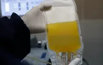 Bùng nổ thị trường chợ đen mua bán huyết tương bệnh nhân COVID-19