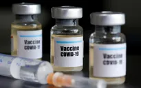Singapore dự định thử nghiệm vaccine chống COVID-19 trên người trong tuần này