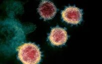 Nguồn gốc virus gây ra đợt bùng phát dịch lần 2 của châu Âu là từ đâu?