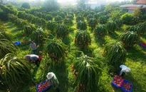 Lồng ghép nhiều chương trình phát triển toàn diện vùng đồng bào dân tộc thiểu số