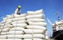 Gạo Việt Nam vững giá trên 480 USD/tấn tuần thứ hai liên tiếp