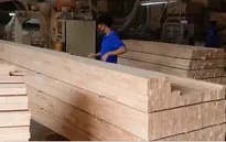 Đồng Nai: Doanh nghiệp gỗ đã xuất lô hàng đầu tiên với thuế suất 0%