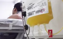 Bộ Y tế kêu gọi người đã khỏi COVID-19 hiến huyết tương