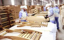 Bất chấp dịch COVID-19, xuất khẩu gỗ và sản phẩm gỗ vẫn tăng trưởng
