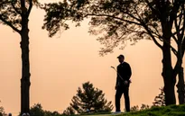 Tiger Woods chuẩn bị kỹ lưỡng cho giải Golf Mỹ mở rộng 2020