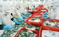 Hưởng ưu đãi thuế theo EVFTA, hàng loạt nông sản Việt xuất sang EU