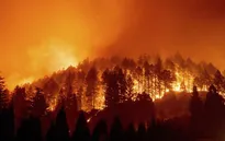 Cháy rừng tại California, 50.000 người phải sơ tán