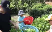 Cặp lá yêu thương: Quyết tâm thoát nghèo