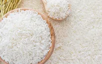 Gạo Việt trước cơ hội nâng cao giá trị
