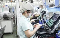 Doanh nghiệp Nhật Bản, Hàn Quốc mong muốn chuyển dịch đầu tư sang Việt Nam