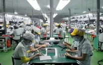 70% công nhân TP Hồ Chí Minh không về quê ăn Tết