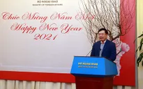 Báo chí làm lan tỏa thành tựu đối ngoại giữa đại dịch COVID-19