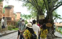 Du lịch kiểu "bình thường mới" trong năm 2021