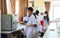 Phê duyệt chương trình hỗ trợ thanh niên khởi nghiệp giai đoạn 2022-2030