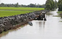 Xâm nhập mặn ở ĐBSCL cao nhất vào cuối tháng 1