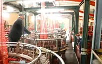 Việc tử tế: Người đàn ông cứu hộ những cuộc đời