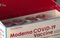 EU chính thức cấp phép lưu hành vaccine Moderna