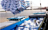 Việt Nam nhập khẩu gạo từ Ấn Độ không phải do thiếu lương thực