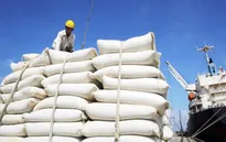 Doanh nghiệp xuất khẩu gạo hồi phục sản xuất