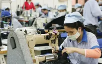 Hai kịch bản tăng trưởng ngành dệt may