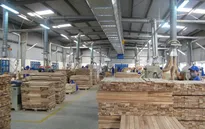 Việt Nam - Hoa Kỳ hợp tác kiểm soát khai thác, thương mại gỗ bất hợp pháp