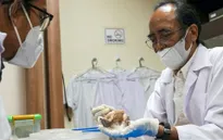 Hài cốt phụ nữ Indonesia cổ đại định hình lại sự phát triển của loài người sơ khai