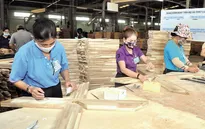 Ngành gỗ có thể cán đích mục tiêu xuất khẩu 14,5 tỷ USD