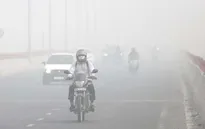 Vùng thủ đô Dehli đề xuất làm việc tại nhà để giảm ô nhiễm không khí