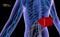 Hy vọng mới cho người liệt nhờ liệu pháp đột phá