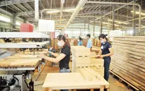 Xuất khẩu gỗ sang Trung Quốc tăng đột biến