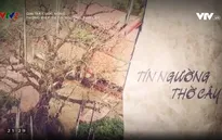 "Giải mã cuộc sống": Câu chuyện phía sau tín ngưỡng thờ cây của người Việt Nam