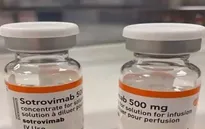Thuốc Sotrovimab có khả năng chống lại Omicron