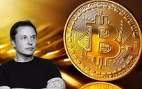 Elon Musk: Bitcoin đỡ "ngớ ngẩn" hơn tiền mặt
