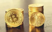 Tăng giảm thất thường, nhà đầu tư thót tim với “tàu lượn” Bitcoin