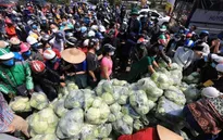 Tiêu thụ nông sản vùng dịch: "Mới chỉ gỡ được phần nào!"