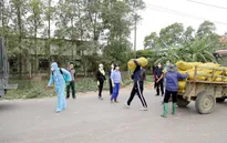“Chạy nước rút” giải cứu nông sản vùng dịch bệnh