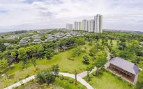 Tăng trưởng xanh – Mục tiêu của Việt Nam đến năm 2050