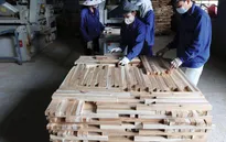 Xuất khẩu gỗ vẫn tăng 16% trong bối cảnh COVID-19