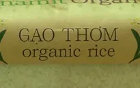 Xây dựng thương hiệu gạo hữu cơ