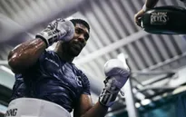 Anthony Joshua bắt đầu tập luyện với cường độ cao