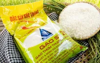 Gạo ST25: Chung tay bảo vệ thương hiệu Việt