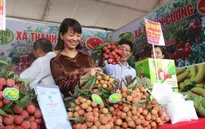 Vải thiều Thanh Hà lên sàn thương mại điện tử, giao hàng trong 4 giờ