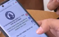 Ngồi nhà lướt điện thoại cũng có đủ thông tin bầu cử