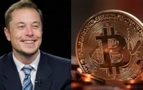 Chuyến “tàu lượn” tiền số của Elon Musk