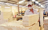 Bất chấp COVID-19, xuất khẩu gỗ và đồ gỗ Việt Nam vượt ngoài mong đợi