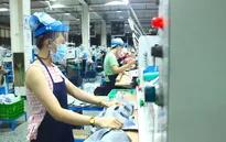 WB: Kinh tế Việt Nam chống chịu tốt với đợt dịch mới
