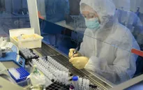Nga đẩy nhanh tiến độ sản xuất vaccine ngừa COVID-19