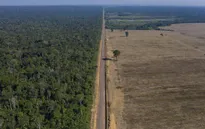 Brazil điều động binh sĩ quân đội chống phá rừng Amazon