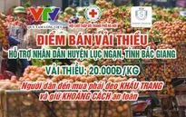Hỗ trợ nhà nông tiêu thụ vải thiều Bắc Giang